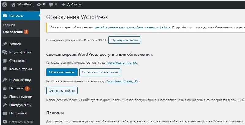 Первичные настройки сайта - Обновление WordPress